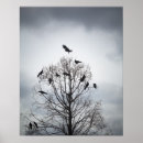 Recherche de beaucoup posters Photographie
