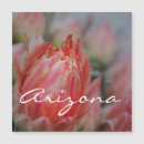Recherche de aimant cartes postales Fleurs