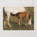 Recherche de cadix cartes postales Horizontal