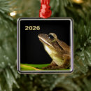 Recherche de ornement de grenouille ornements Amphibien