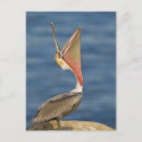 Zoek naar open mond briefkaarten Buiten