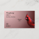 Recherche de oiseau chanteur cartes visite Animal