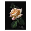Recherche de wallart posters Rose
