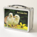 Zoek naar dieren lunchboxen For kids