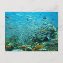 Recherche de barrière cartes postales Grand