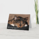 Recherche de chats de calicot vœux cartes Amoureux des chats