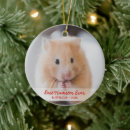 Zoek naar knaagdieren ornamenten Hamster