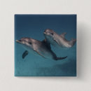 Recherche de nature photo badges Gris