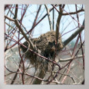 Zoek naar vogelnest posters Nesten