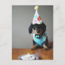 Recherche de dog anniversaire cartes Dachshund