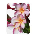 Recherche de île tropicale magnets Pour elle