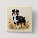 Recherche de berger australien badges Aussie