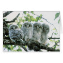 Recherche de focale cartes postales Concentrer