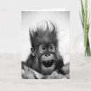 Recherche de orang outan vœux cartes Mignon