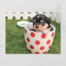 Recherche de tasse cartes postales Mignon
