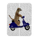 Recherche de idiot refrigérateur magnets Fleurs