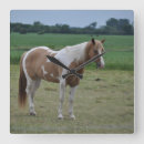 Recherche de peintures de cheval Équestre