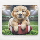Recherche de chiot golden retriever tapis souris Animal