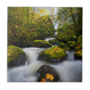 Zoek naar griekse tegels Groen