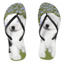 Zoek naar engels slippers Hond