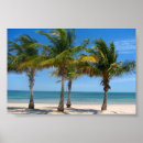 Recherche de miami posters Océan