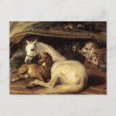 Zoek naar henry briefkaarten Hond