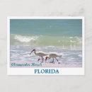 Zoek naar ibis briefkaarten Florida