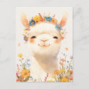 Recherche de alpaga blanc cartes postales Pour tous