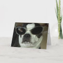 Zoek naar boston terriers kaarten For him