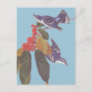 Zoek naar berries briefkaarten Vogel