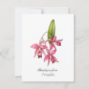 Recherche de orchidée rose vœux cartes Moderne