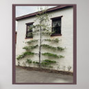 Recherche de murs posters Photographie
