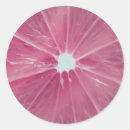 Zoek naar voedsel stickers Citrus