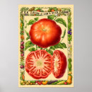 Zoek naar rode keuken posters Botanisch