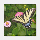 Recherche de peinture numérique magnets Illustration