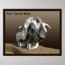 Recherche de taureau taureau posters Tourisme