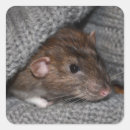 Recherche de oeil animal autocollants Blanc