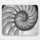 Recherche de nautilus tapis souris Coquille