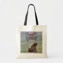 Recherche de carnivore sacs Ours
