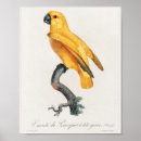 Recherche de sénégal posters Oiseau