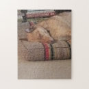 Zoek naar hond puzzels Juweel