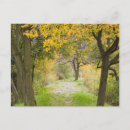 Recherche de rhénanie palatinat cartes postales Automne