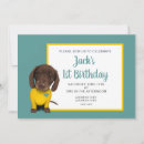 Recherche de dachshund invitations Garçon