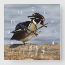 Recherche de sponsa art Bird