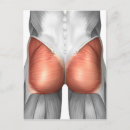 Recherche de muscle humain cartes postales Tissu musculaire