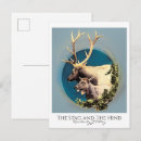 Recherche de biche cartes postales Faune