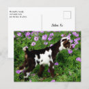 Recherche de nigerian cartes postales Animal