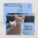 Recherche de surprise cartes postales Chat