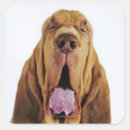 Recherche de image de chien autocollants Animaux domestiques