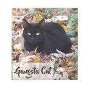 Zoek naar grappige kattenfoto posters Fotografie